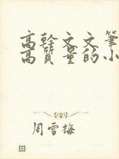 高干文文笔好的高质量的小说现代言情