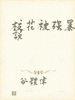 校花被强暴的小说