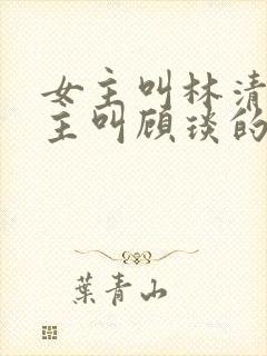 女主叫林清浅男主叫顾琰的小说