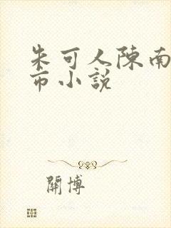 朱可人陈南的都市小说