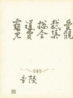 霸道总裁爱上我免费全集观看