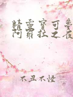 精灵宝可梦本子阿罗拉之夜