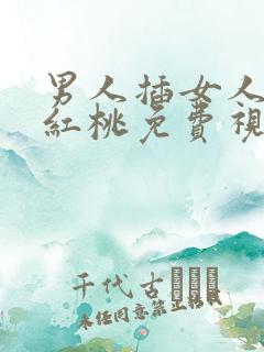 男人插女人下面红桃免费视频