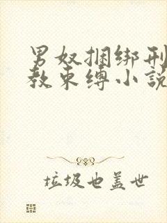 男奴捆绑刑具调教束缚小说