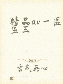 精品av一区二区三