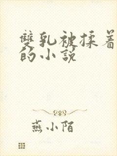 双乳被揉着玩弄的小说