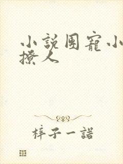 小说团宠小妻很撩人