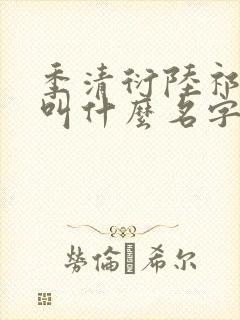 季清衍陆祁小说叫什么名字