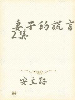 妻子的谎言第52集