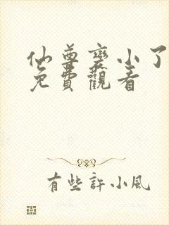 仙尊变小了短剧免费观看