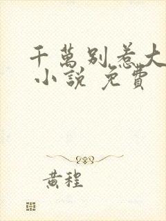 千万别惹大师兄 小说 免费