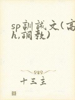 sp训诫文(高h,调教)