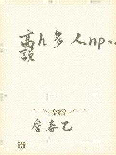 高h多人np小说