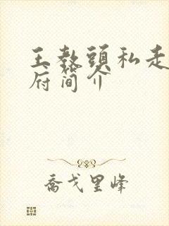 王教头私走延安府简介