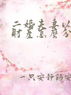 二婚夫妻以后的财产怎么分