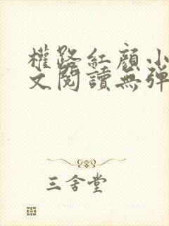 权路红颜小说全文阅读无弹窗