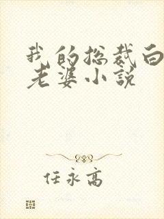 我的总裁白富美老婆小说