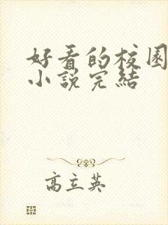 好看的校园言情小说完结