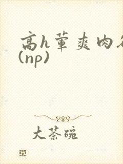 高h荤爽肉欲文(np)