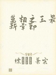 万相之王最快更新章节