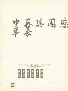中再集团历任董事长
