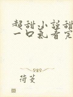 超甜小说甜宠文一口气看完