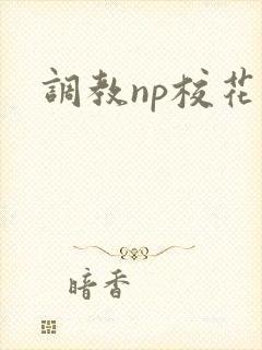 调教np校花