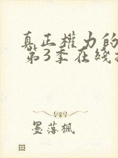 真正权力的游戏 第3季在线播放