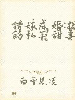 错嫁成婚:总裁的私宠甜妻