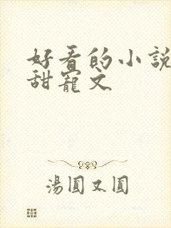 好看的小说推荐甜宠文