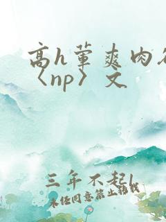 高h荤爽肉欲文〈np〉文