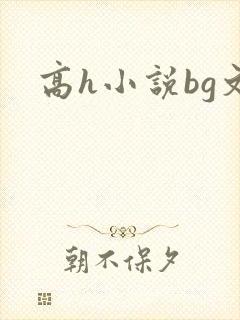 高h小说bg文