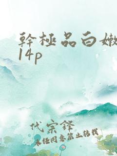 干极品白嫩少妇14p