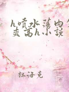 h喷水荡肉失禁爽高h小说
