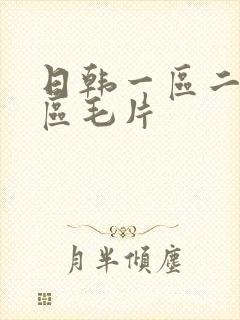 日韩一区二区三区毛片