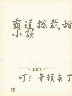 霸道总裁甜宠文小说