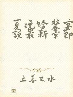 夏晚吟裴宴白小说最新章节更新内容