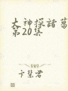 大神探诸葛九九第20集