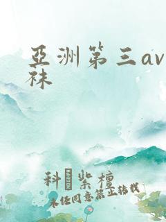 亚洲第三av丝袜
