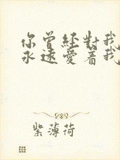 你曾经对我说会永远爱着我是什么歌