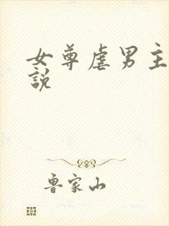 女尊虐男主的小说