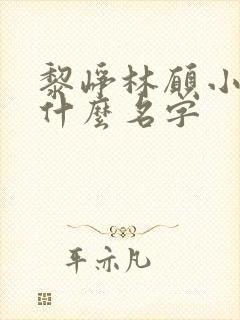 黎峥林愿小说叫什么名字