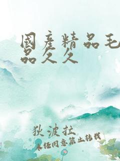 国产精品毛片极品久久