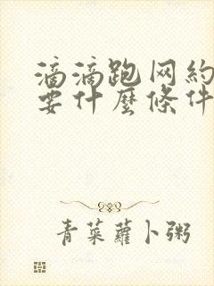 滴滴跑网约车需要什么条件