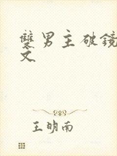 双男主破镜重圆文