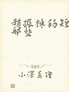 赵振栋的短剧有哪些