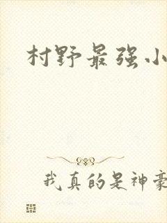 村野最强小农民