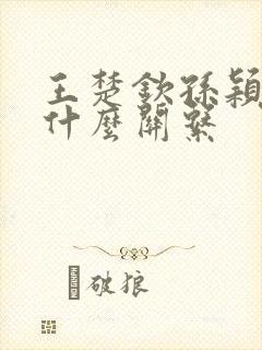 王楚钦孙颖莎是什么关系