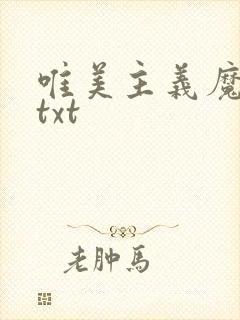 唯美主义魔法师txt