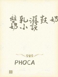 双乳涨鼓奶水喂奶小说